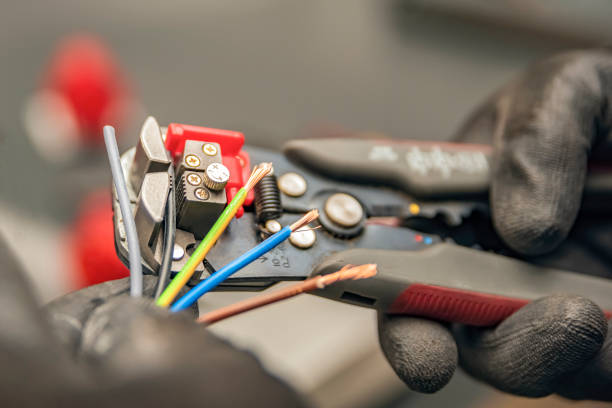 Best Electric Panel Repair  in Savage, MN